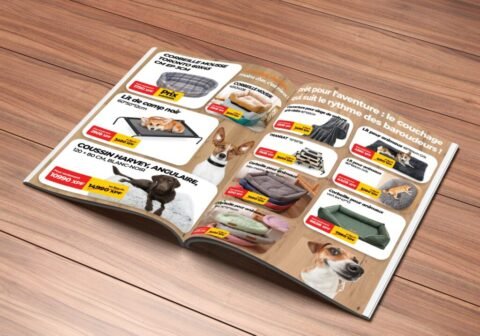 a9ff6e40-78b9-4e03-b341-64980f8e6323